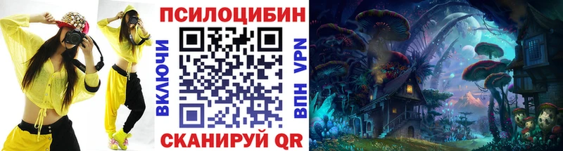 закладка  Бородино  Псилоцибиновые грибы MAGIC MUSHROOMS 